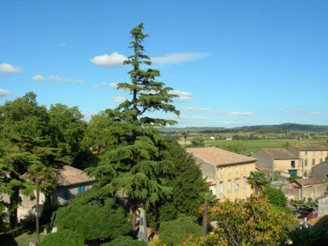 Chambres D'Hotes Le Clos De Venes Saint-Couat-d'Aude Exterior photo